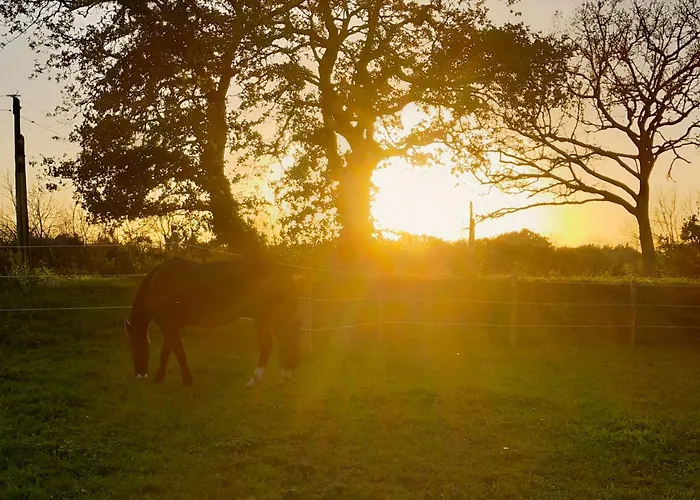 Le Clos Des Ty Casa vacanze *